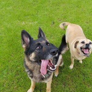 Meet your Posher, Ayva